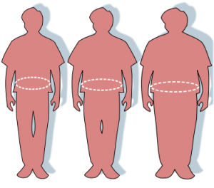 The Shape of Your Body and Body Mass IndexThe Shape of Your Body and Body Mass Index