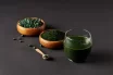 Spirulina Detox: All You Need To Know