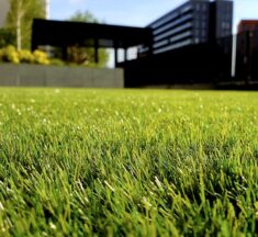 Cleaning And Maintenance Tips For Artificial Turf: Maximizing Longevity And Appeal