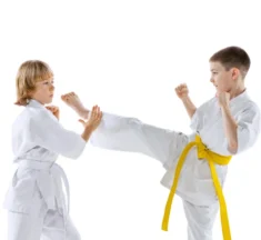 How Martial Arts Teach Children The Importance Of Perseverance