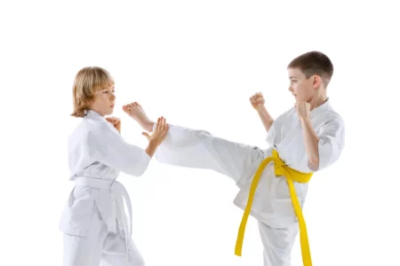 Martial Arts Teach Children The Importance Of Perseverance